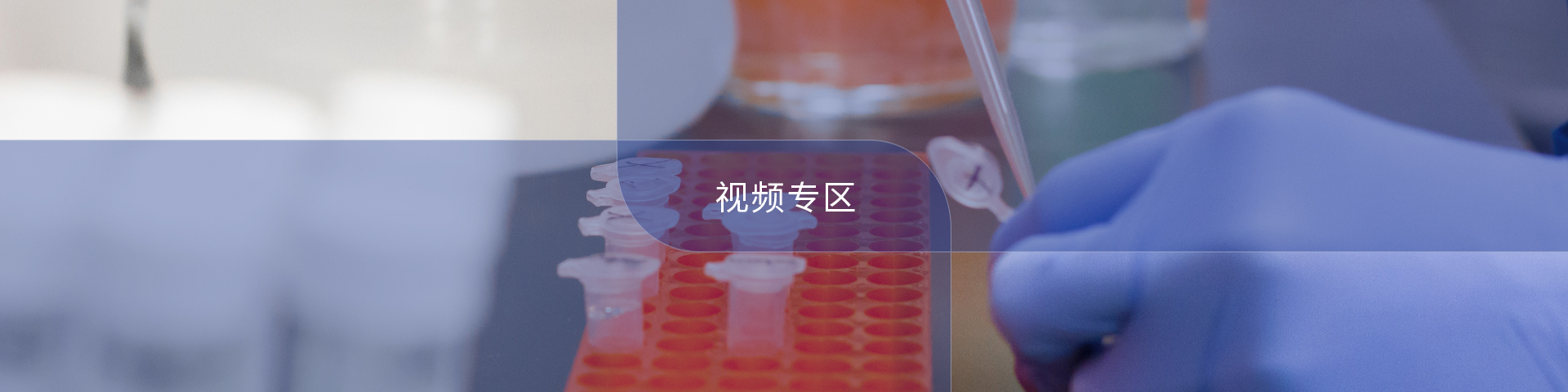 視頻專區(qū)
