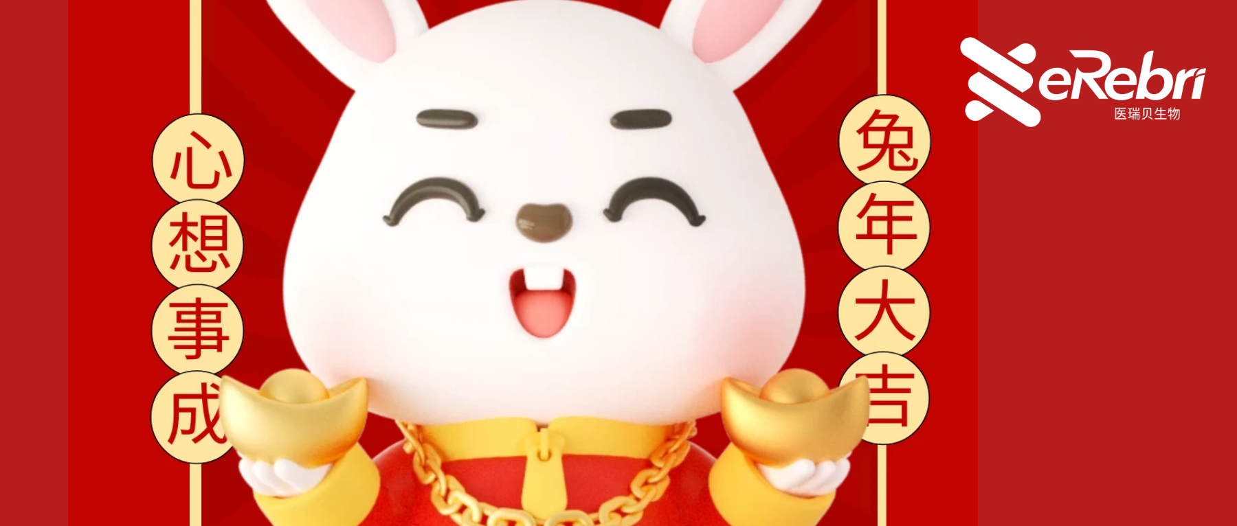 共赴新程｜醫(yī)瑞貝祝大家新年快樂(lè)！2023 宏“兔”大展